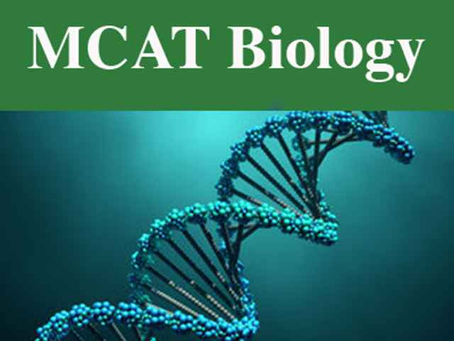 Dr. Donnelly - Sorrento Valley's best MCAT® Biology tutor